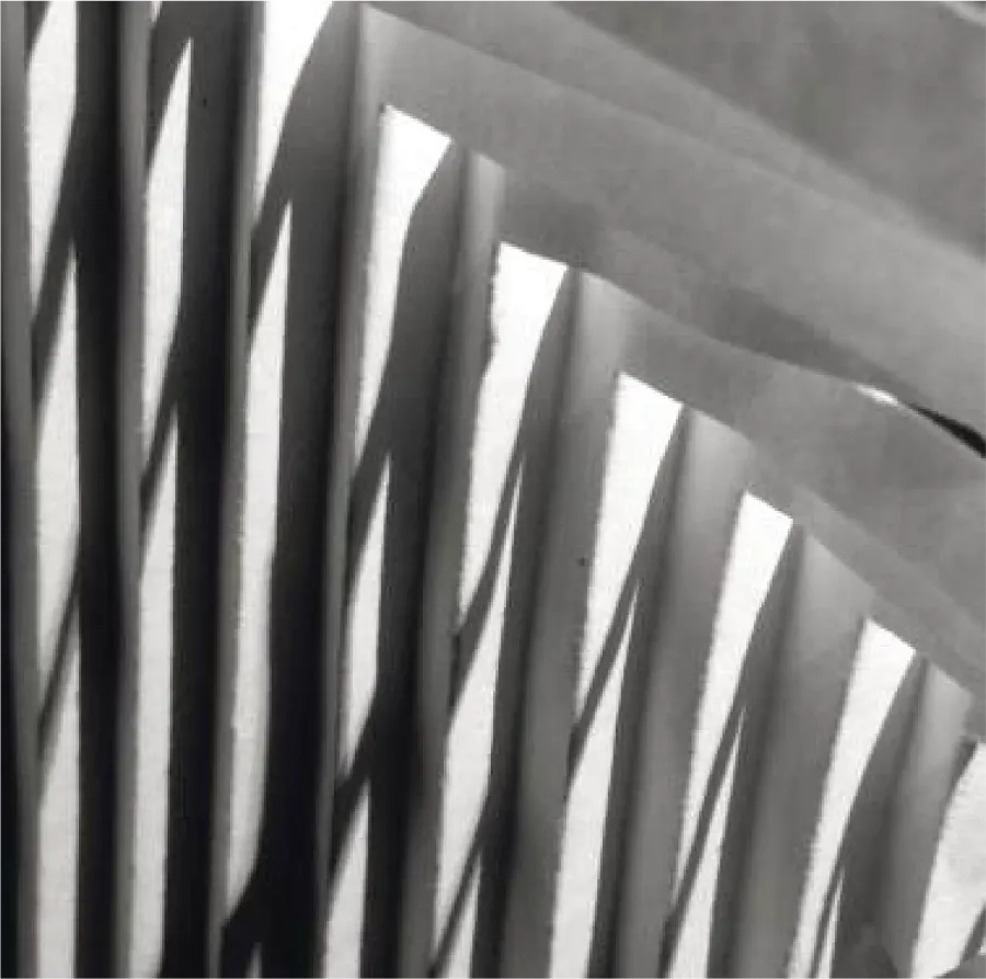 Experiment Show - Image 1