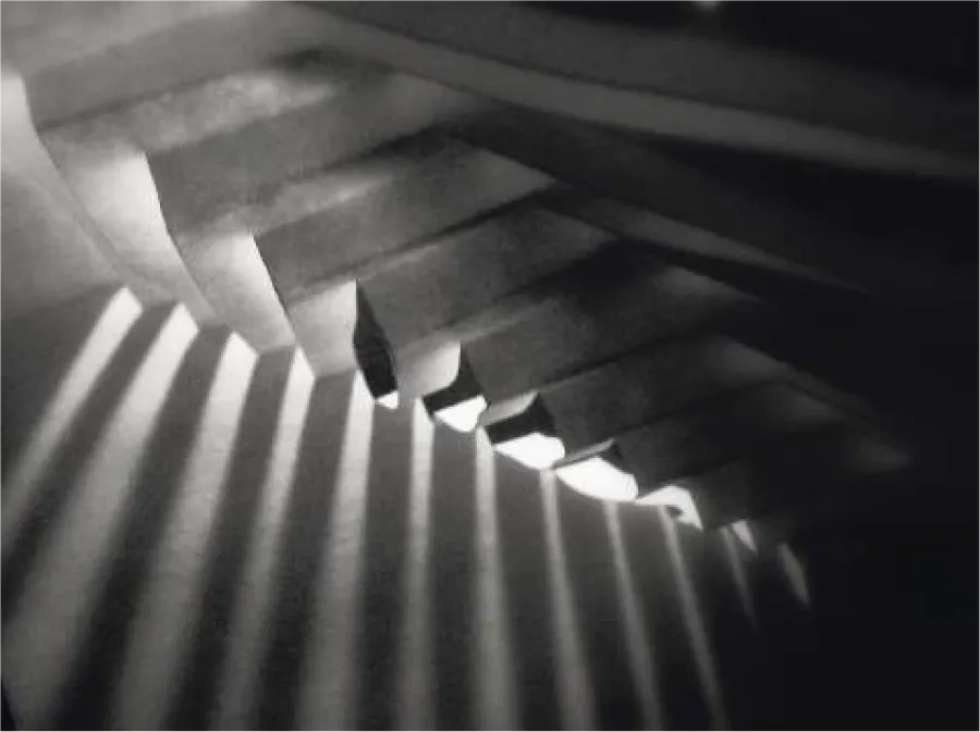 Experiment Show - Image 4