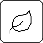 Tuintje van Adam - Icon White 3