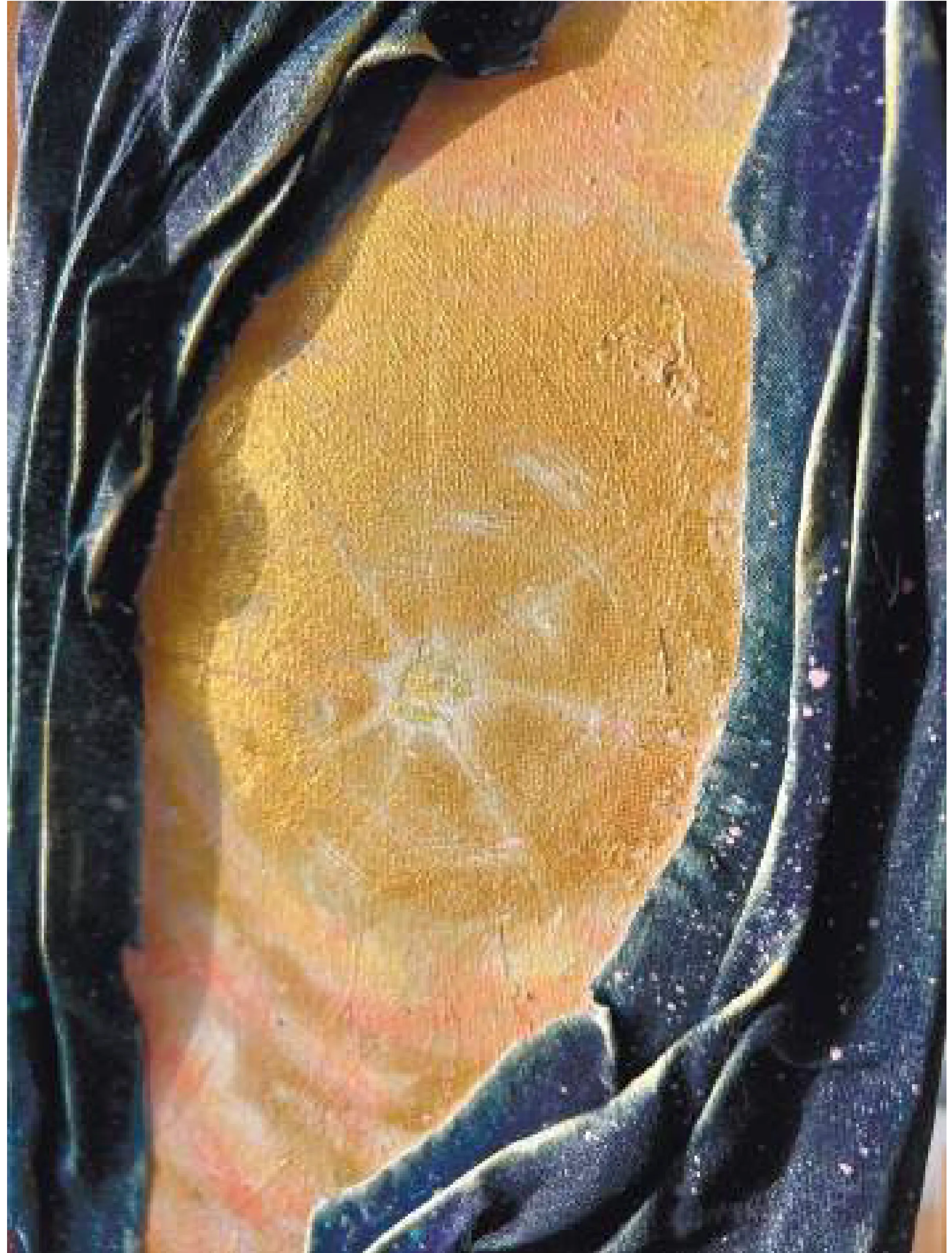 Experiment Show - Image 11