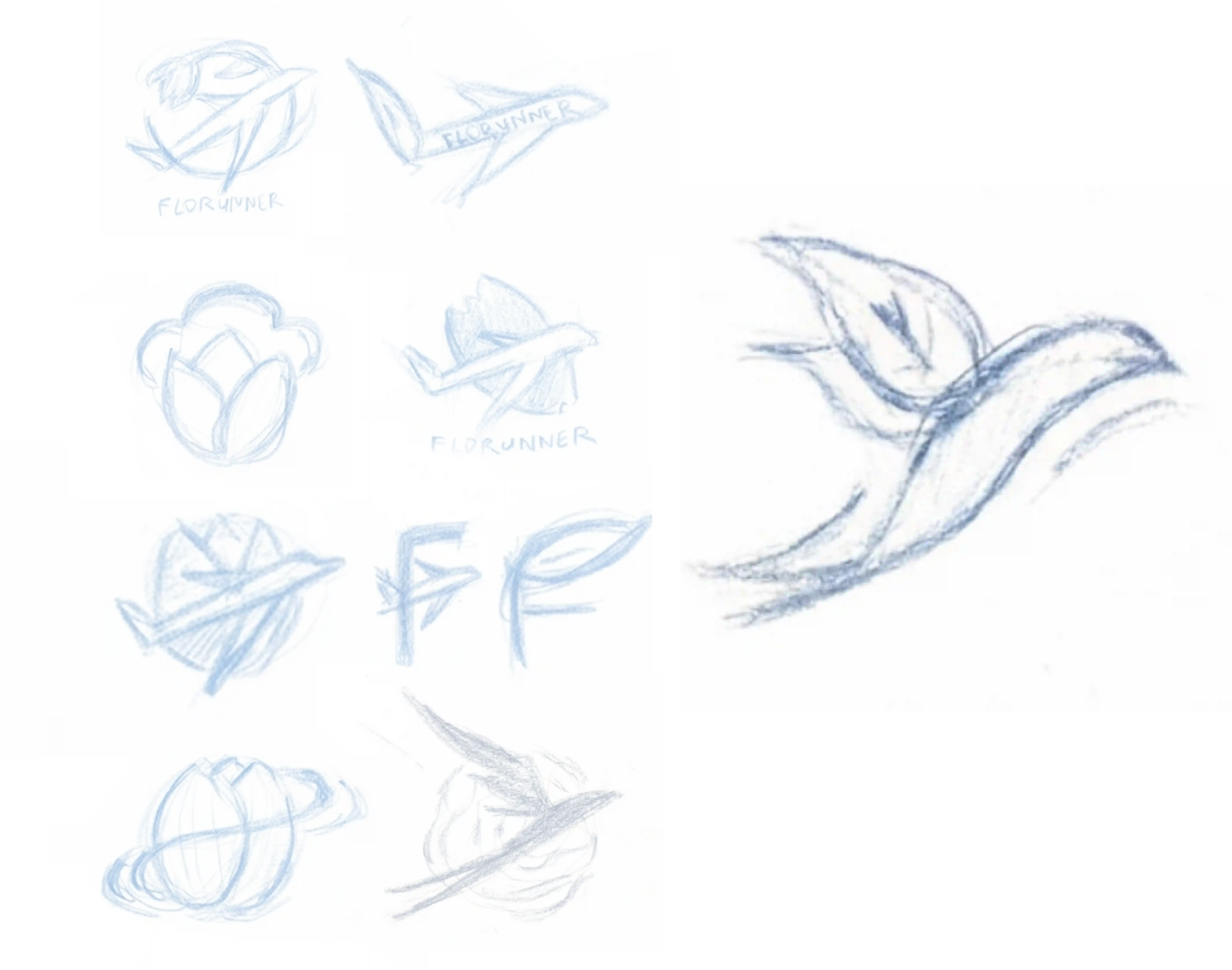 Florunner - Image 3.2